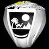 Nouveauté incroyable bague de championnat maçonnique Shriner classique avec boîte à bagues en velours et express 311W