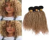 1B27 miodowa blondyn Ombre Kinky Curly Human Hair Bundles 3pcs Czarny korzeń jasnobrązowy ombre brazylijskie dziewicze ludzkie włosy Wefts5675329