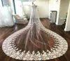 Blanc ivoire 2019 nouveau voile de mariage longueur cathédrale dentelle appliqué 3 m de Long voiles de mariée enveloppe de mariée avec Comb48027691489776