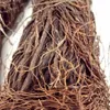 Creative Natural Slender Wood Branch DIY Fine Root Rattan Rainforest Style Aquarium Driftwood Aquarium Decoration 240307