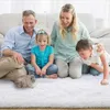 Furry Carpet Living Room Mat Modern Bedroom Nordic Style Decoration Large Size Black Gray White Non Slip Childrens Rugs 240226