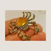 Broszki Piękne Neptune Sea Crab Yellow Opal Glass Crystal Horoscope Star Brooch