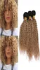 1B27 Miel Blonde Ombre Crépus Bouclés Faisceaux de Cheveux Humains 3Pcs Racine Noire Brun Clair Ombre Brésilienne Vierge Cheveux Humains Weave Wefts6681793