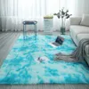 Dywany szary dywan farbowanie pluszowe miękkie do salonu sypialnia antypoślizgowe maty podłogowe dywany wchłaniania wody 267n