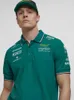 Polos pour hommes 2024 Aston Martin F1 T-shirts d'impression 3D Hommes Femmes Sport Mode O-Cou T-shirts Enfants T-shirts Tops Formule 1 Racing