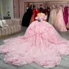 Robe De bal rose chérie Quinceanera robes perles Appliques fleur longue robe De bal robes De fête d'anniversaire robes De 15 Anos