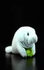 Manatee Söt simulering Steller039S Sea Cows Dolls Soft Plush Toy Lifelike Trichechu Sea Animal Fin Hydrodamalis Gigas Kids Gif7870015