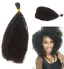 Cabelo em massa mongol afro kinky encaracolado em massa para trançar extensões de cabelo humano 826 polegadas em estoque FDSHINE5995548