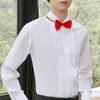 Homens camisetas Lapela Homens Camisa Elegante Stand Collar Negócio com Gravata Borboleta para Escritório Formal Eventos de Festa de Casamento Noivo