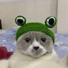 Dog Apparel Hand-knitted Pet Hat 3d Frog Eye Decor Cute Headgear For Autumn Winter Cartoon Cat Supplies Headdress