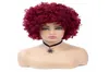 Korte Pruik Afro Kinky Krullend Synthetische Pruiken voor Vrouwen Gemengde Wijnrood Cosplay Afrikaanse Kapsels Pruiken3429089