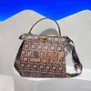 Borse da donna nuove di design all'ingrosso di fabbrica Borsa tote di grande capacità per donna Borsa alla moda trendy e di fascia alta Borsa a tracolla singola di lusso leggera