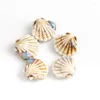 Charms 30#5pcs Beautiful Colorful Scallop Ceramic Pendant Two Side Porcelain Jewelry Part For Necklace #MY206