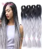 Ombre Gray Jumbo Plejanie Włosy Syntetyczny dwupiętrowy kolor włosów czarny brązowe jumbo bulks przedłużenie Cheveux 24 cali Ombre Box Bra4491428