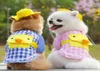 Pet Clothes Supplies Small Dog Apparel Puppy Accessories Dresses Spring Teddy Chihuahua Breathable Dressing Cute And Comfortable7902384