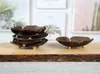 Creative coconut shell soap shelf butterfly shaped coconut soap cartoon soap box southeast Asian wooden coconut shell soaps dish 13401295