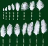 12-14 '' 30-35cm Multi-color Feather Crafts Proveedor de avestruz teñido plumas decorativas plumas baratas para la fiesta de bodas 2471
