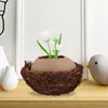 Vases 1 Set Of Ceramic Vase Eggshell Shaped Flower Pot Indoor Plants Succulent Planter With Nest