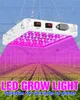 Spettro completo LED Phyto Grow Lamp 85265V Pianta Fito Light 1000W 2000W Lampadina per coltura idroponica Tenda interna Grow Box Lampade per semi di verdure5643604