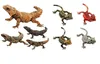 GACHA Ecologische Atlas FIGUUR Hagedis Gekko Reptiel Luipaard Patroon Gesimuleerde Biologische Dier ACTION Figuur Model Speelgoed 240227