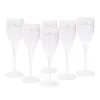 6pcs Wine Party Champagne Coupes Glasses Flutes Acrylic Goblet Trendy Plastic Cups Summer Birthday Present