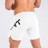 Men's Shorts 2024 Brand Running Men Sports Jogging Fitness Quick Dry Gyms Pants Sport Bottoms