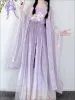 Robe d'été violette Hanfu pour femmes, robe traditionnelle chinoise de la dynastie Tang, chemise à manches longues, broderie une pièce, scène de Cosplay