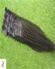 Kinky Curly Clip In Human Hair Extensions 2036 Inchs Brazilian 7A Kinky Curly Clipins 9pcs100g1085876