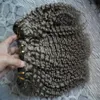 Brazylijskie dziewicze włosy 3 wiązki perwersyjne kręcone siwe włosy przedłużenia 300 g 3PCS Brazylijskie splot włosów