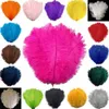 Vente en gros 15-35 cm autruche plumes performance scénile plumes blanches mariage décoration autruche plumes 2474