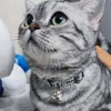 Lot de 2 colliers de créateur pour chaton avec clochettes, colliers classiques à motif de lettres pour chats avec boucle de sécurité détachable, nylon, réglable de 17,8 à 50,8 cm, blanc petit B225