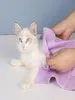 Large 664302CM Super Absorbent Towel Quick Drying Pet Bath Soft l Machine Washable Suitable for Dogs and Cats Any Size Pets1199067