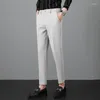 Erkek pantolon lüks sıradan Kore sürümü vintage düz genç dokuz noktalı batı streç pantolon eski para