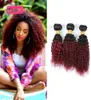 Brazylijskie ombre ludzkie włosy 3 wiązki dwa ton 1B99J Burgundy Kinky Curly Human Hair Weave Kolor Brazylijskie Human Hair Extensions4727921