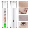 Nebelsprüher Handheld Nano Beauty Instrument Mini Feuchtigkeitsspendender Luftbefeuchter Hautpflege LED-Anzeige Tragbarer Dampfer Vernebler 240306