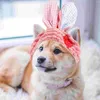 Vêtements pour chiens Chapeau pour animaux de compagnie Chat Oreilles de lapin Costumes Lapin Pâques Chaton Chapeaux Tissu pour chats Cosplay