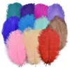 Feathers da struzzo all'ingrosso 15-35 cm Performance Feathers Feathers Decorazione fai-da-te Fute di struzzo 2474