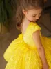 Abito da ragazza di fiore corto giallo con paillettes per bambini per la festa di nozze Abito da prima comunione con maniche ad aletta Ballo cerimoniale 240306