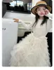 Big girls tiered gauze cake dresses old kids long sleeve splicing lace tulle long dress teenagers princess clothes Z7105