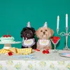 Dog Apparel INS Korea Party Bib Pet Birthday Saliva Towel Bichon Triangle Scarf Cat Hat Set217U