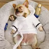 Халат для домашних животных, чихуахуа, французский бульдог, одежда для маленьких собак, куртка, костюм, аксессуары для собак, домашнее животное 201102255u