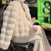 Women's Grass Otter Rabbit Short 2023 Winter New Haining Fashion Imitation Plush Mink Fur Coat 7640