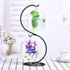 Goldfish Ball Hanging Aquarium Fish Tank Bowl Ecosphere Flower Plant Vase Table for Small Pet Supplies Accessories 240226