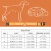 Collier pour animaux de compagnie LED rechargeable par USB clignotant lumineux de sécurité éclairer le collier de chien en nylon Anti-perte collier pour animaux de compagnie chiot Collars289q