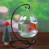 Ecosphere goldfish bola pendurado aquário tanque de peixes tigela flor planta vaso mesa para pequenos animais de estimação suprimentos acessórios 240226