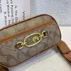 Fabrik Großhandel Mode Damentaschen Klassische Metallkutsche Einzelschulter Umhängetasche Avery Doppelreißverschluss Kamera Kleines Quadrat für Frauen