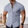 Men's Casual Shirts Stand Collar Shirt Solid Color Stylish Cardigan For Summer Business Wear