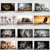 Africain Lion Lion Leopard Animaux Face sur toile PEINTURES MUR ARTS AFFICHES ET IMPRESS