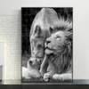 African Lions familj svartvitt duk konst affischer skriver ut djur målningar på väggbilderna hem dekor269y