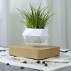 Magnetic suspension flower Levitating Air Bonsai Pot plant succulent patio decoration Desktop Flower Green C1111260S